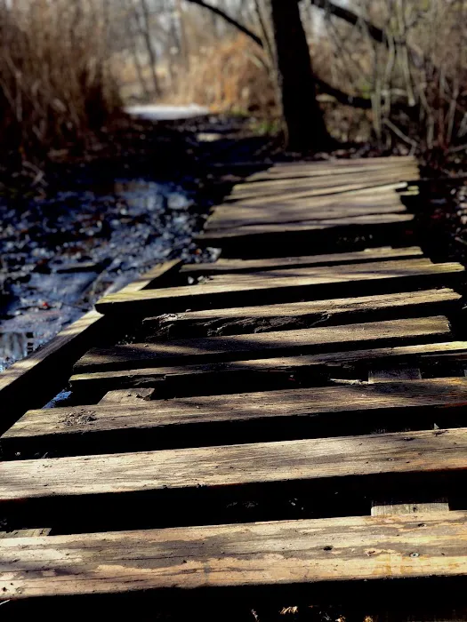 Old Croaker County Park Picture 4