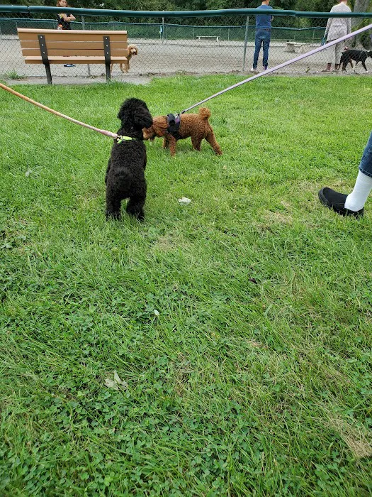 Overpeck Park Henry Hoebel Area Picture 10