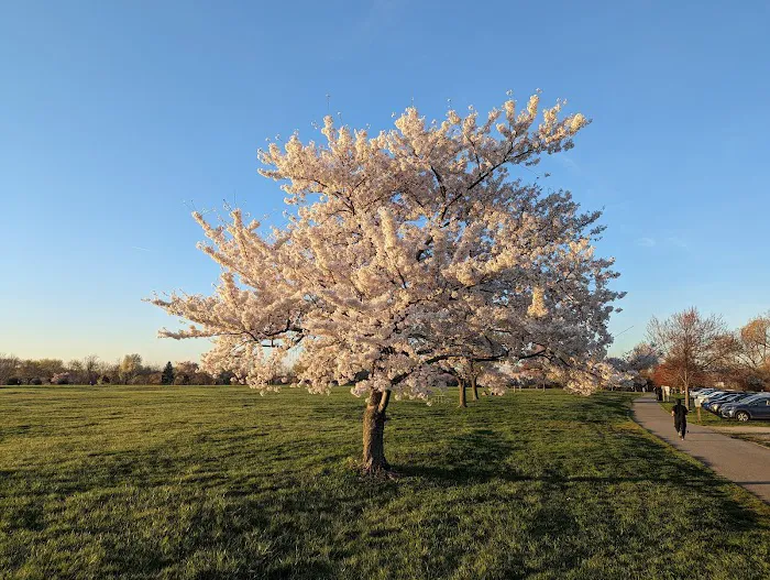 Overpeck Park Henry Hoebel Area Picture 8