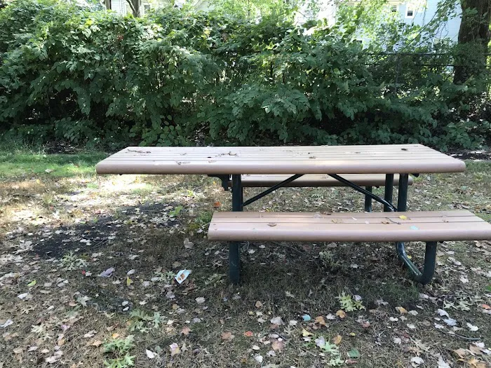 Station Park Picture 10