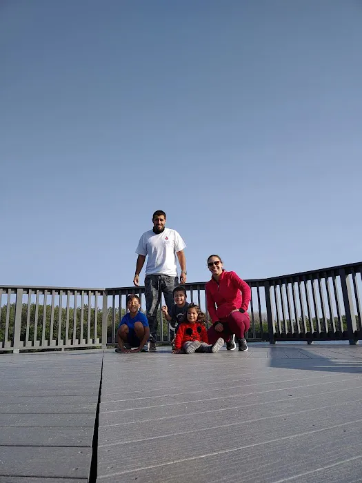 Overpeck Deck Picture 6