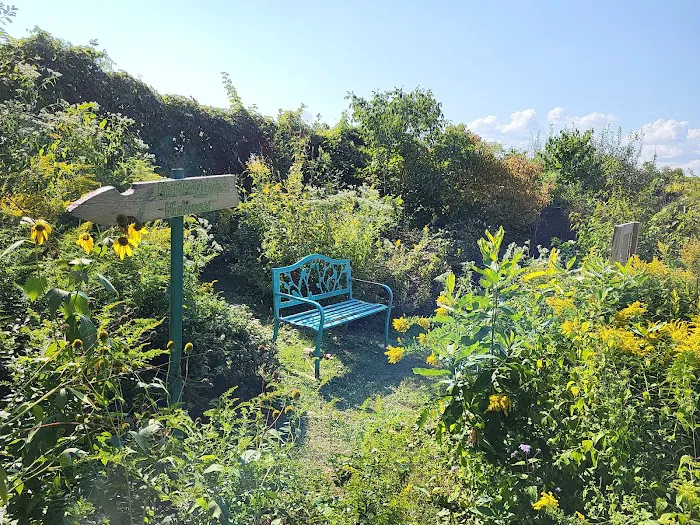 Butterfly garden Picture 2