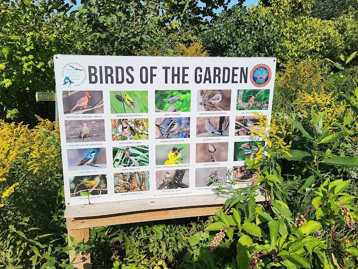 Butterfly garden Picture 1
