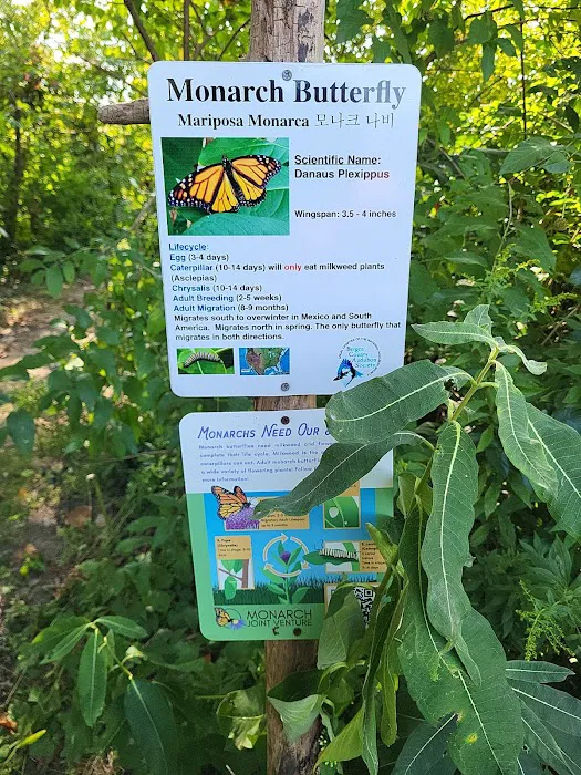Butterfly garden Picture 5