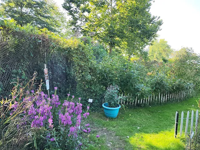Butterfly garden Picture 7