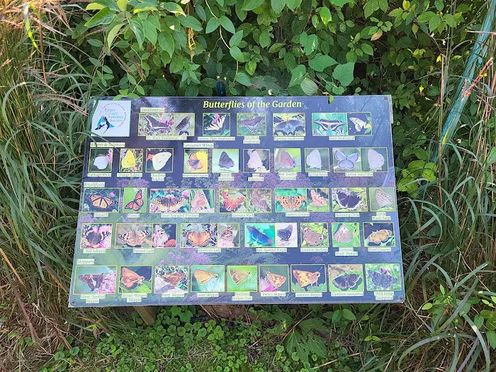 Butterfly garden Picture 8