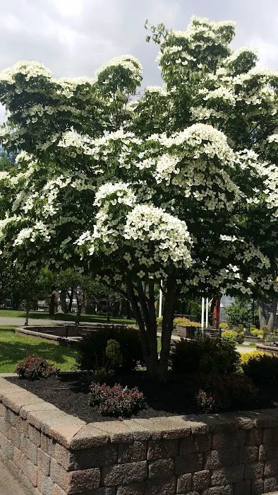 Constitution Park Picture 9