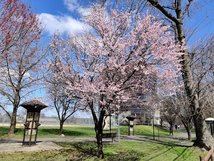 Constitution Park Picture 3