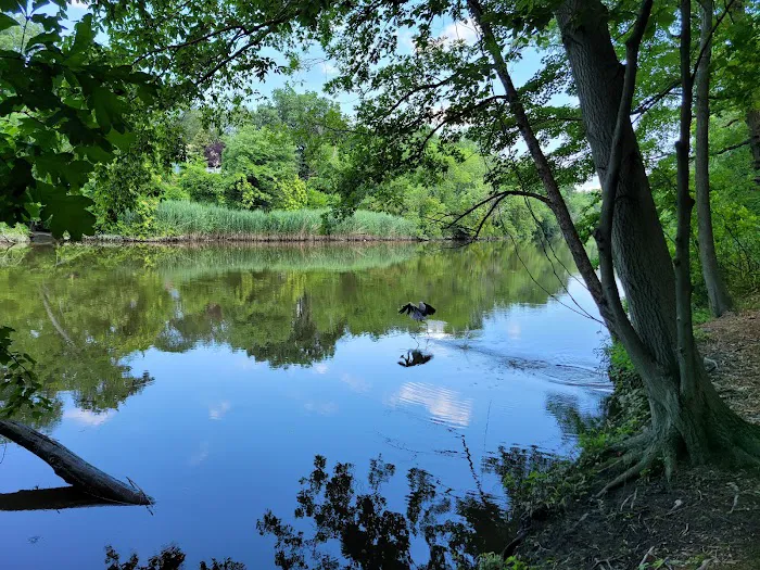 New Milford Woods - Nature Trail Picture 4