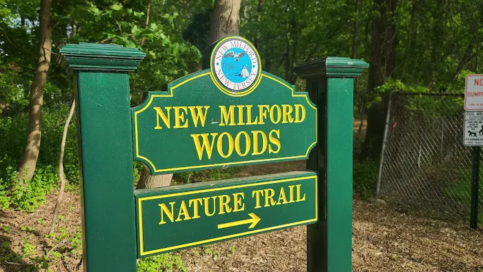 New Milford Woods - Nature Trail Picture 7
