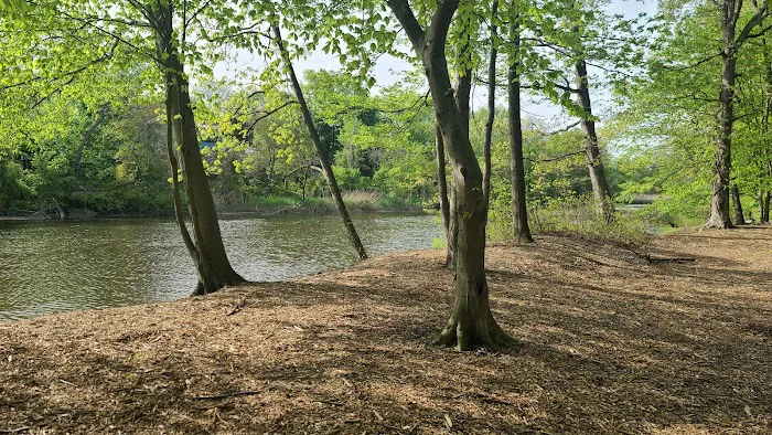 New Milford Woods - Nature Trail Picture 6