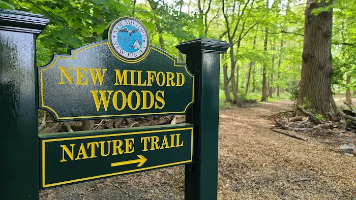 New Milford Woods - Nature Trail Picture 5