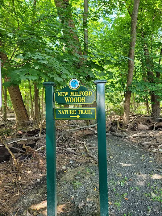 New Milford Woods - Nature Trail Picture 9