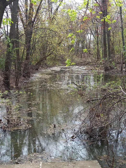 Hard Castle Pond - New Milford Picture 10