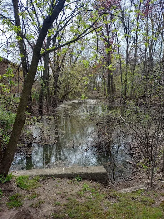 Hard Castle Pond - New Milford Picture 7