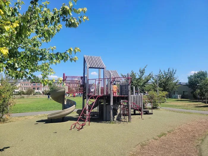 Pierson Park Picture 3