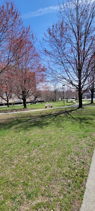 Sarah Michaels Park Picture 5
