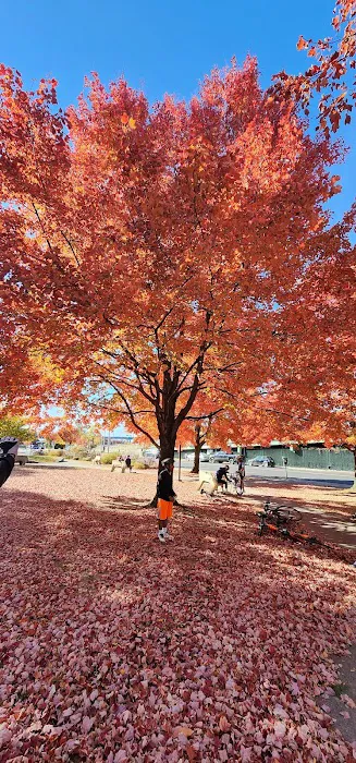 Sarah Michaels Park Picture 3