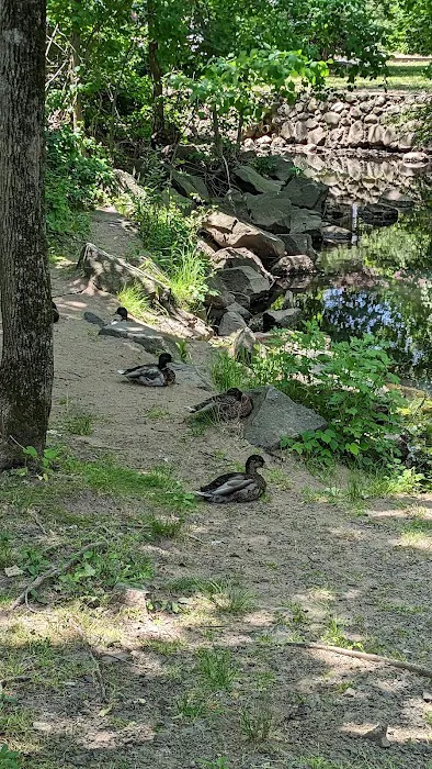 Tappan Memorial Park Picture 7