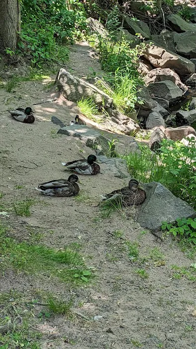 Tappan Memorial Park Picture 4