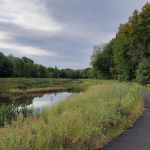 Homes For Heroes Green Project Walking Trail