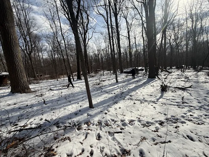 White MTB DH Trail Picture 5