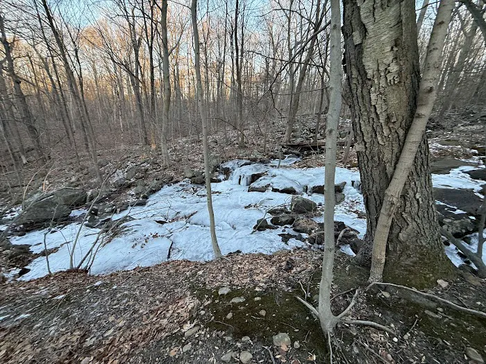 White MTB DH Trail Picture 3
