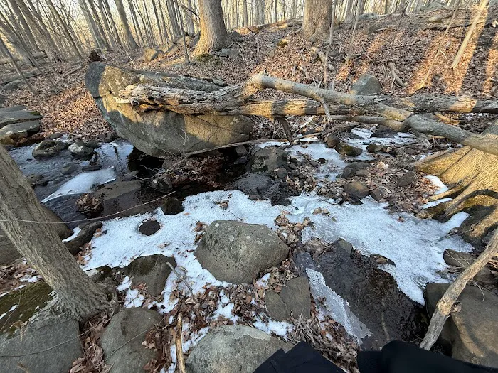 White MTB DH Trail Picture 4