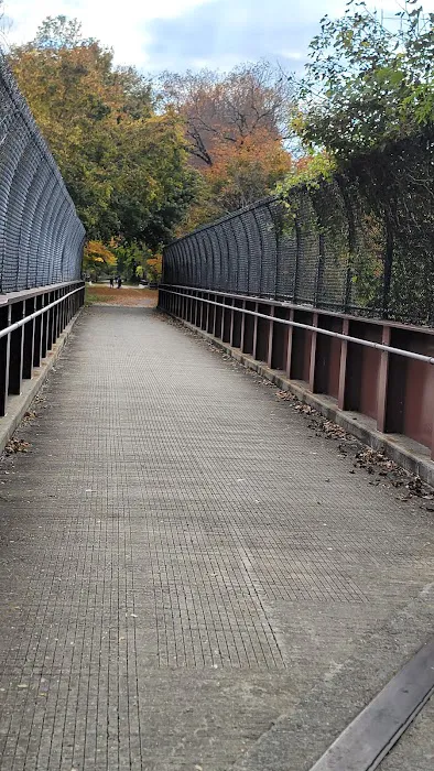 North Trail Picture 9