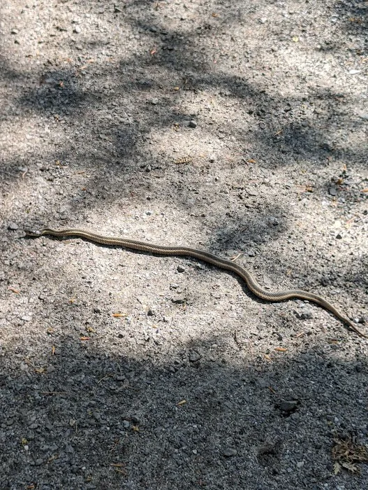 North Trail Picture 4