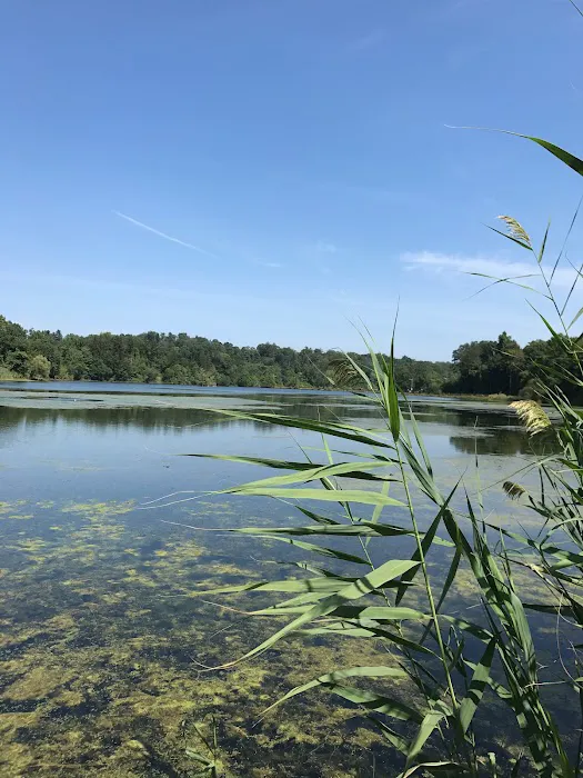 Tarrytown Lakes Park Picture 7