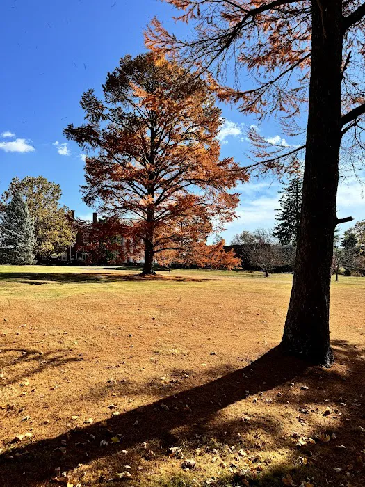 Wilson Park Picture 10