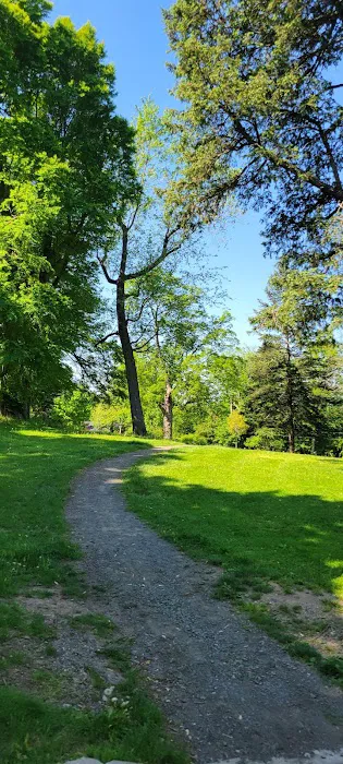 Wilson Park Picture 3