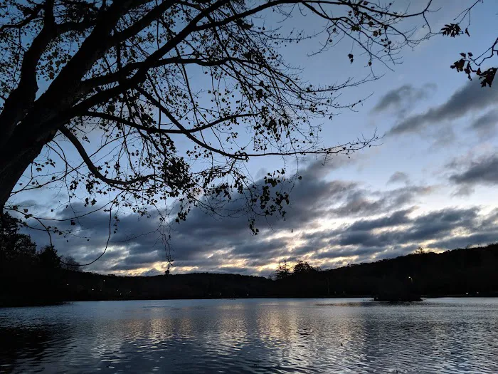 Wilson Park Picture 4