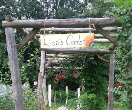 Lisa Qian M.D. Memorial Garden