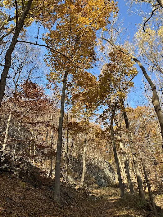 Raven's Rock Picture 3