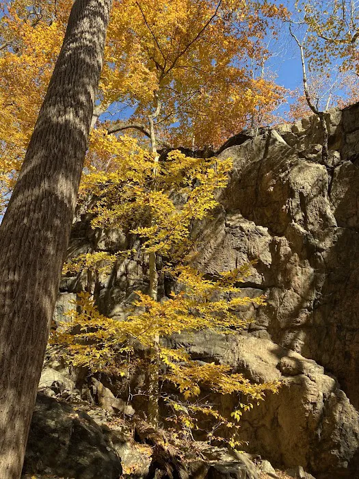 Raven's Rock Picture 6