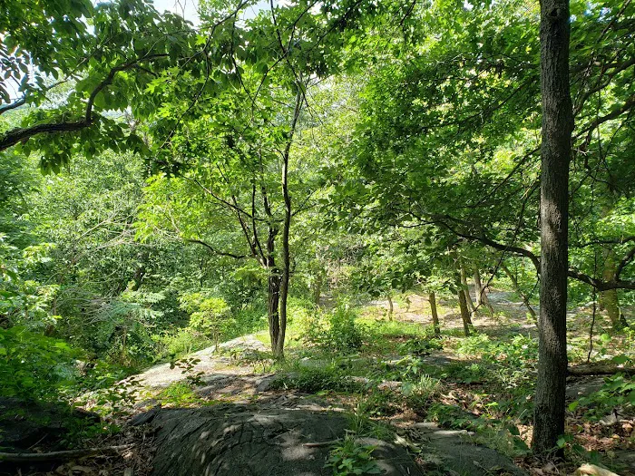Raven's Rock Picture 9