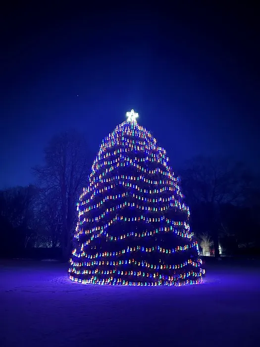 Rockefeller Christmas Tree Picture 1