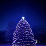 Rockefeller Christmas Tree