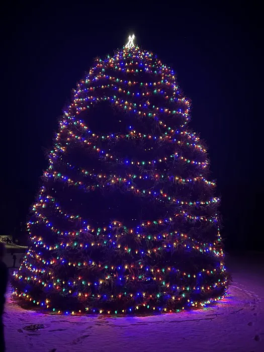 Rockefeller Christmas Tree Picture 2