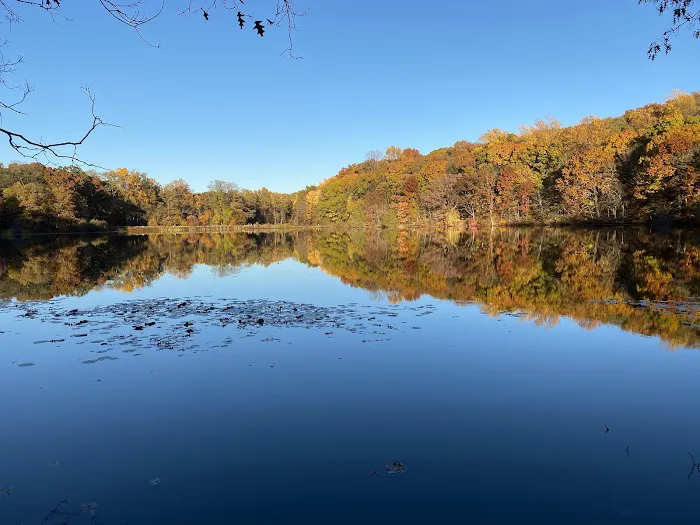 Rockefeller State Park Preserve Picture 1