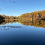 Rockefeller State Park Preserve