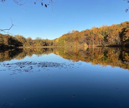 Rockefeller State Park Preserve