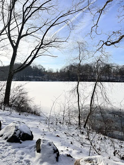 Rockefeller State Park Preserve Picture 3