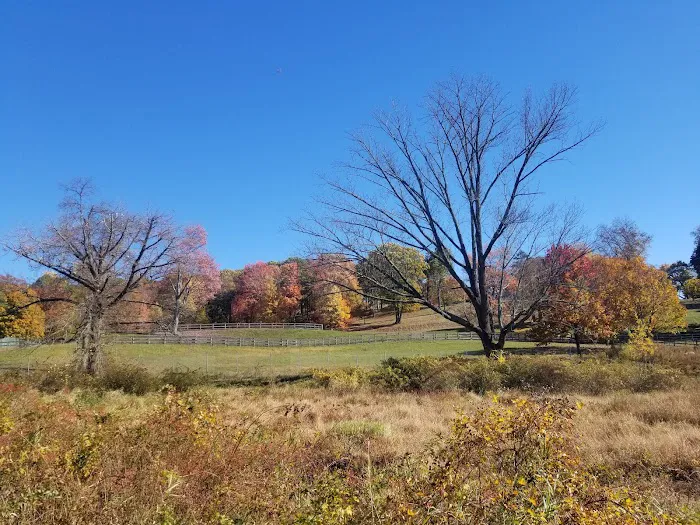 Rockefeller State Park Preserve Picture 5