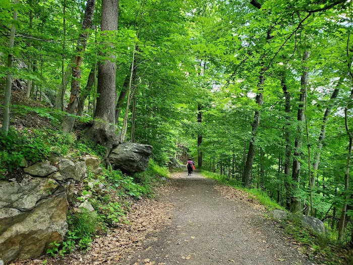 Rockefeller State Park Preserve Picture 10