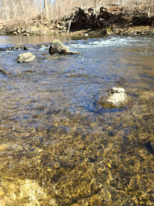 Rockefeller State Park Picture 1