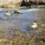Rockefeller State Park
