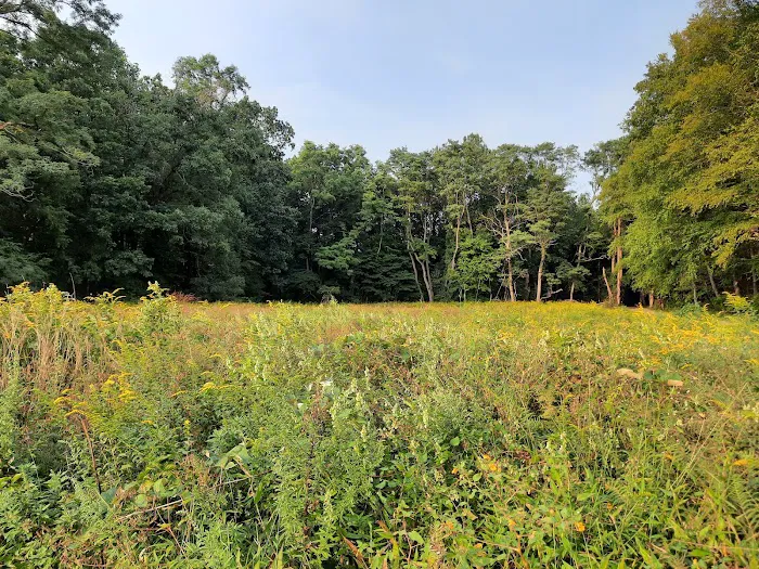 Rockefeller State Park Picture 4